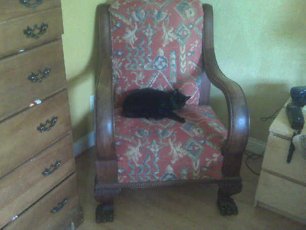The Chair
